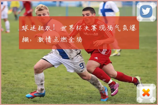 球迷狂欢!世界杯决赛现场气氛爆棚,激情点燃全场